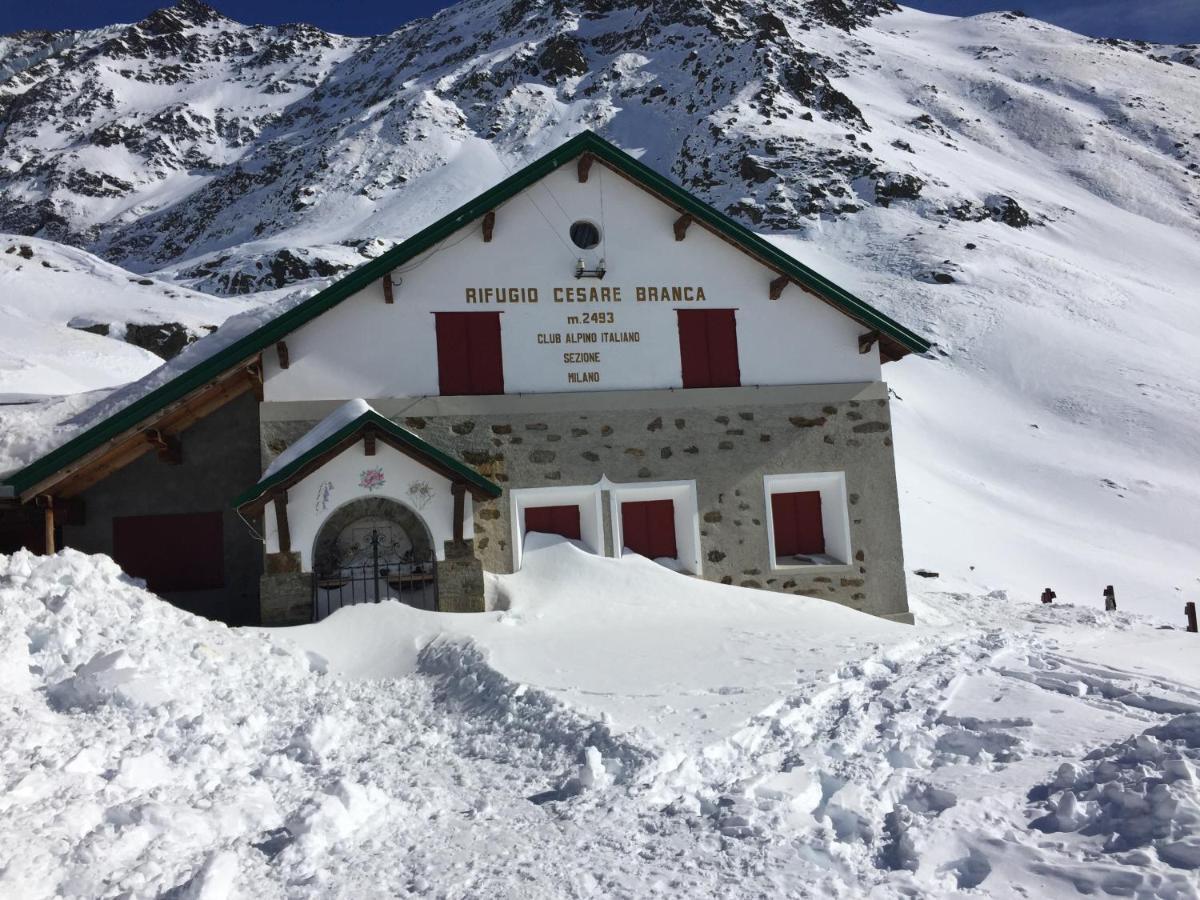 Alpine Chalet Villa Santa Caterina Valfurva Exterior photo