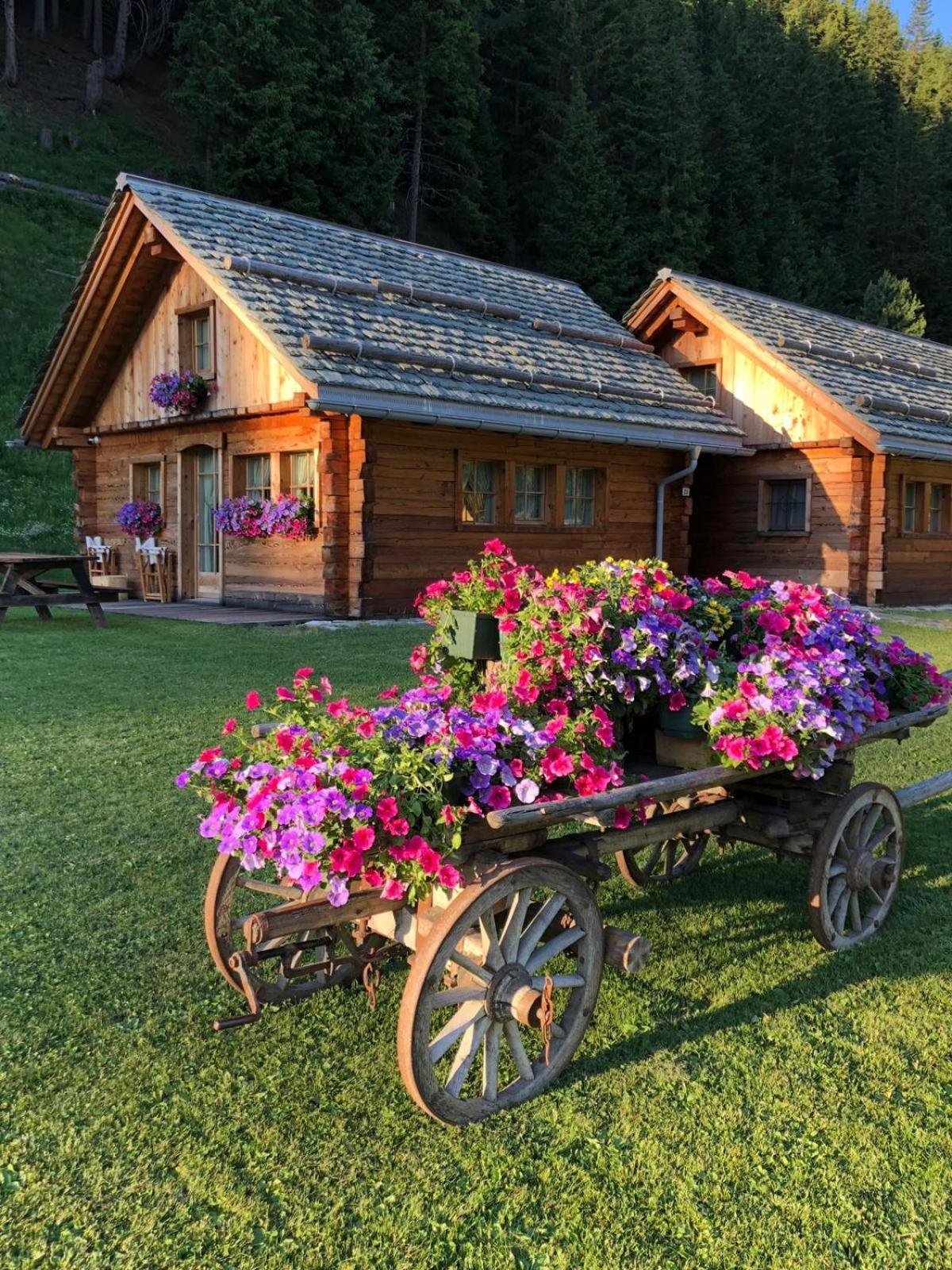 Alpine Chalet Villa Santa Caterina Valfurva Exterior photo